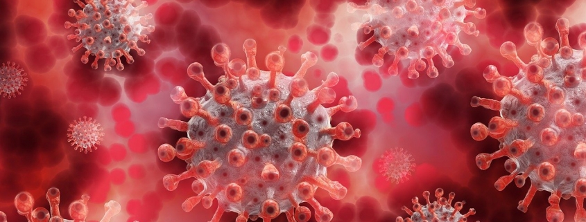 corona virus